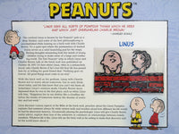 Willabee & Ward Embroidered Patch - Charlie Brown and Linus RARE! - snoopn4pnuts.com