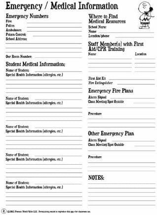 Peanuts Lesson Plan And Record Book -  On Sale!