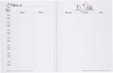 Peanuts Lesson Plan And Record Book -  On Sale!