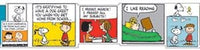 Peanuts Comic Blocks Extra Wide Deco Trim