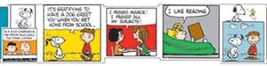 Peanuts Comic Blocks Extra Wide Deco Trim