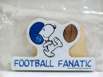 Football Fanatic Pc Screen Duster