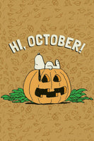Peanuts Double-Sided Flag - Hi October!