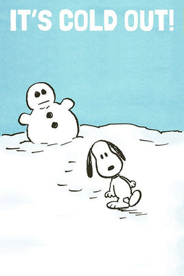 Peanuts Double - Sided Flag - It's Cold Out! - snoopn4pnuts.com