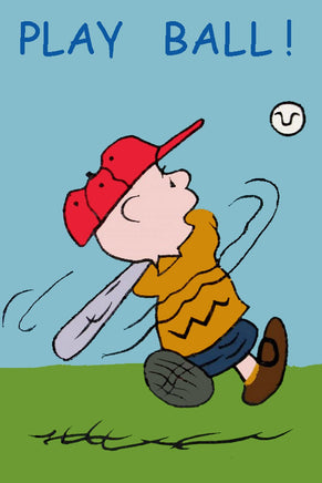 Peanuts Double - Sided Flag - Play Ball! - snoopn4pnuts.com