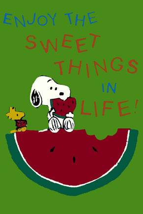 Peanuts Double - Sided Flag - Enjoy The Sweet Things In Life - snoopn4pnuts.com