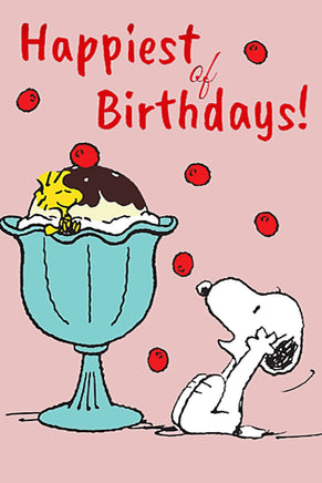 Peanuts Double - Sided Flag - Happy Birthday! - snoopn4pnuts.com