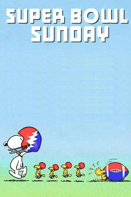 Peanuts Double - Sided Flag - Snoopy Super Bowl Sunday - snoopn4pnuts.com