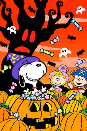 Peanuts Double - Sided Flag - Snoopy Halloween Pumpkin Patch - snoopn4pnuts.com