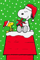 Peanuts Double - Sided Flag - Snoopy's Gift - snoopn4pnuts.com