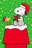 Peanuts Double-Sided Flag - Snoopy's Gift