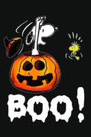 Peanuts Double-Sided Flag - Snoopy Halloween BOO!