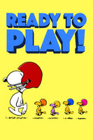 Peanuts Double-Sided Flag - Ready To Play!