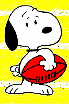 Peanuts Double - Sided Flag - Snoopy Football - snoopn4pnuts.com