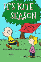 Peanuts Double - Sided Flag - It's Kite Season - snoopn4pnuts.com