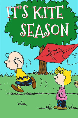 Peanuts Double - Sided Flag - It's Kite Season - snoopn4pnuts.com