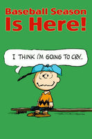 Peanuts Double - Sided Flag - Baseball Season Is Here - snoopn4pnuts.com