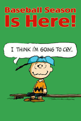 Peanuts Double - Sided Flag - Baseball Season Is Here - snoopn4pnuts.com