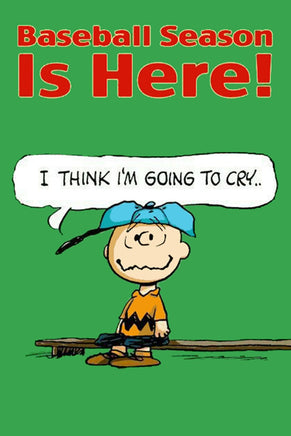 Peanuts Double - Sided Flag - Baseball Season Is Here - snoopn4pnuts.com