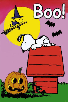 Peanuts Double - Sided Flag - BOO! - snoopn4pnuts.com