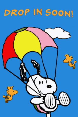 Peanuts Double - Sided Flag - Drop In Soon! - snoopn4pnuts.com
