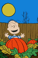 Peanuts Double - Sided Flag - Linus In Pumpkin Patch Halloween - snoopn4pnuts.com