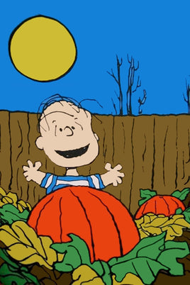 Peanuts Double - Sided Flag - Linus In Pumpkin Patch Halloween - snoopn4pnuts.com