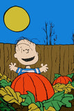 Peanuts Double-Sided Flag - Linus In Pumpkin Patch Halloween