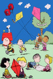 Peanuts Double-Sided Flag - Kite Flying Gang
