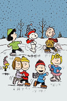 Peanuts Double - Sided Flag - Skating Party - snoopn4pnuts.com