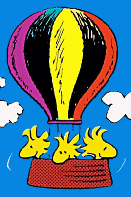 Peanuts Double - Sided Flag - Hot Air Balloon Ride - snoopn4pnuts.com