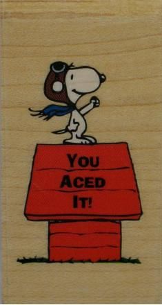 "You Aced It!" Rubber Stamp (Used But Mint/Near Mint)
