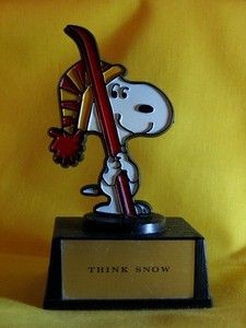 Think Snow trophy