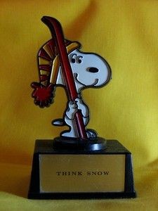 Think Snow Trophy