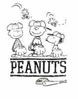 Peanuts Baseball T-Shirt (2XL Size Available)