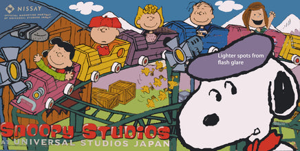 Universal Studios Japan Peanuts Beach Mat / Craft Mat - snoopn4pnuts.com