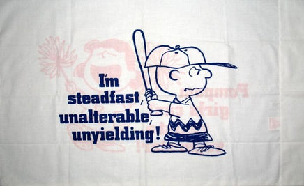 Vintage Peanuts Gang Pillow Case - Charlie Brown and Lucy