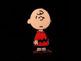 CHARLIE BROWN PATCH - ON SALE!