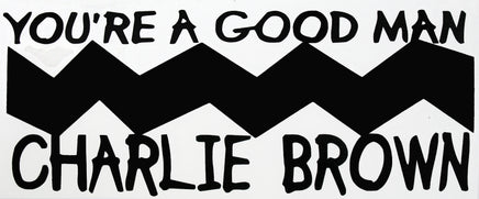 Charlie Brown Die - Cut Vinyl Decal - Black - snoopn4pnuts.com