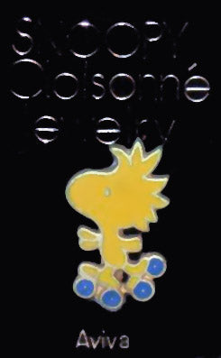 Woodstock Skater Cloisonne Pin