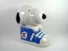 Snoopy In Tennis Shoe Bank
