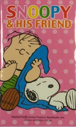 Mini Envelope And Sticker Set - Snoopy And His Friend Linus