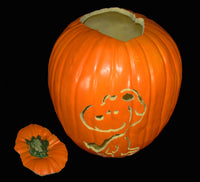 Snoopy Flying Ace Carved Pumpkin With Removable Lid - RARE! - snoopn4pnuts.com