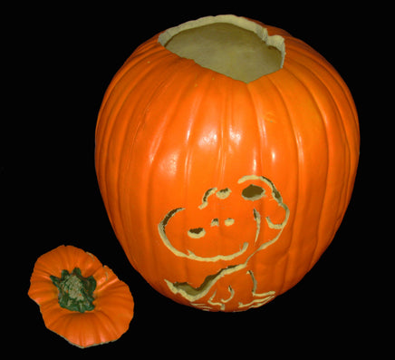 Snoopy Flying Ace Carved Pumpkin With Removable Lid - RARE! - snoopn4pnuts.com