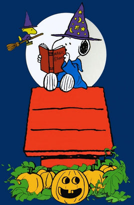 NON - VINTAGE FLAG - SNOOPY SORCERER - snoopn4pnuts.com