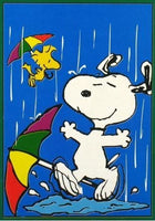 DANCING IN THE RAIN Flag (Fair Condition)