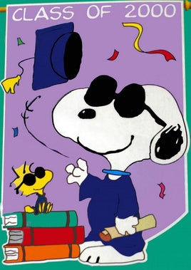 Joe Graduate Class Of 2000 Flag