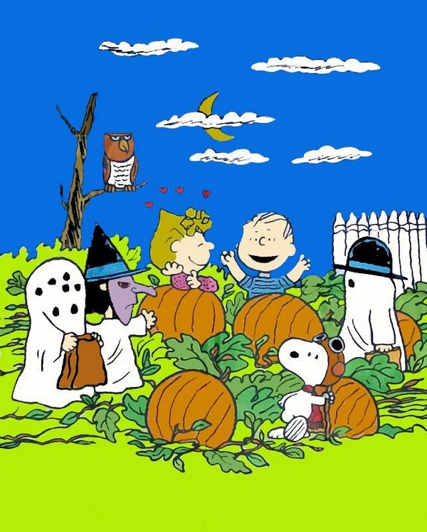 PEANUTS GANG HALLOWEEN Flag - RARE!