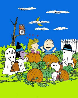 PEANUTS GANG HALLOWEEN Flag - RARE! (MINT/HUNG INDOORS ONLY) - snoopn4pnuts.com