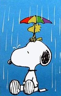 Peanuts Double - Sided Flag: Rainy Day Snoopy - snoopn4pnuts.com